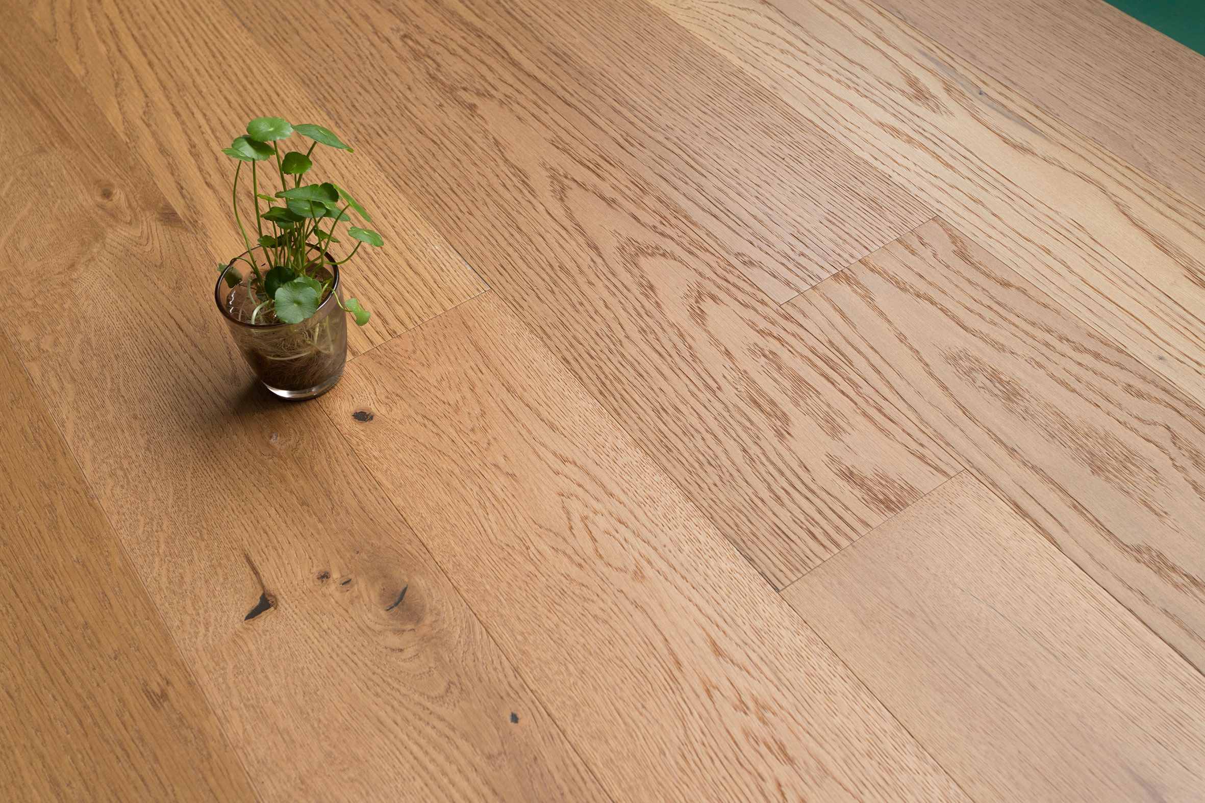 GoldenOak Buy Wood veneer floor, GoldenOak Wood veneer floor, Wood